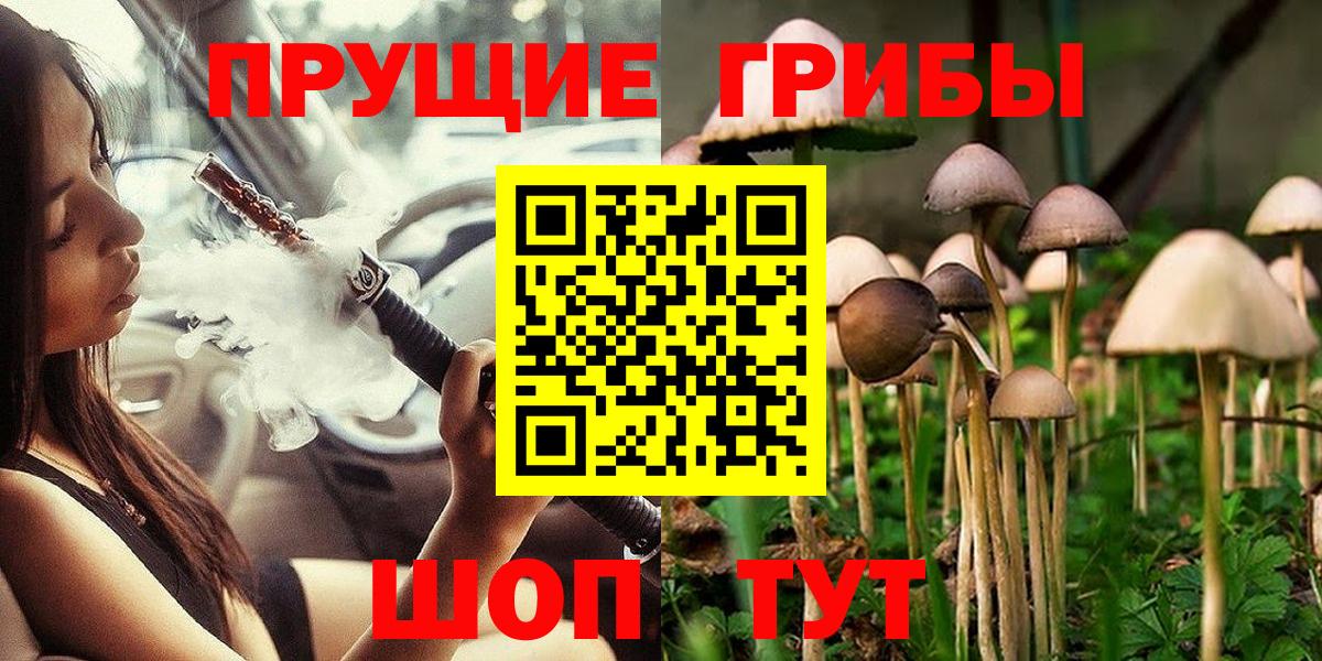 Великие Луки  Псилоцибиновые грибы GOLDEN TEACHER  Вход с VPN 